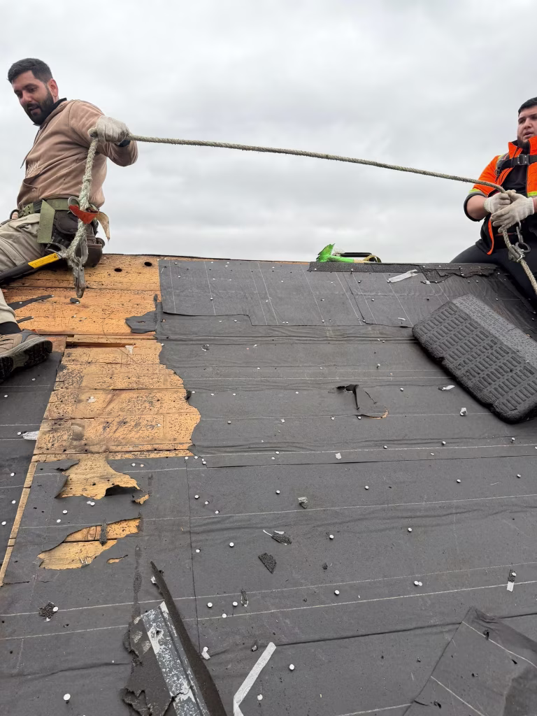 shingle-roofing-replacement-in-toronto-5 Roof Inspections - 23